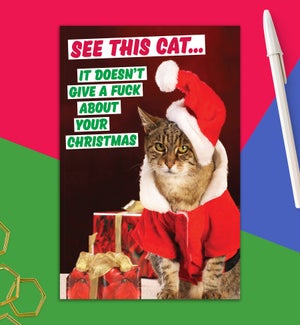 XM/See This Cat